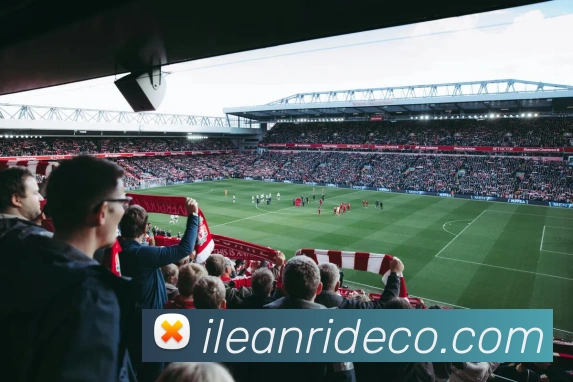 DAFA.COM平台生态图