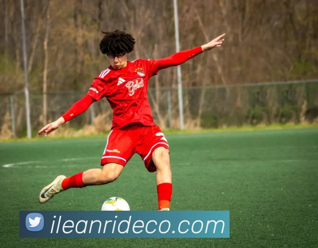 DAFA.COMAPP 封面图